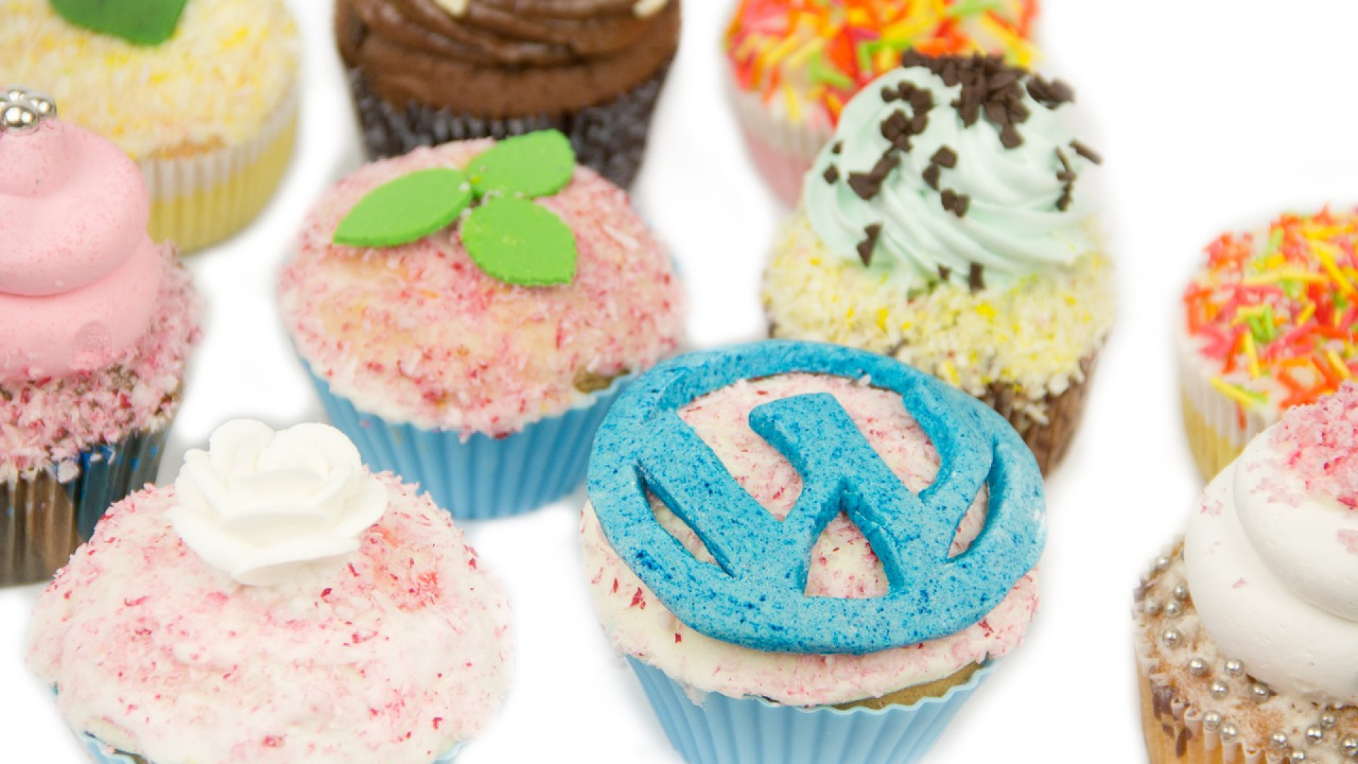 Tout savoir sur le service d’assistance WordPress